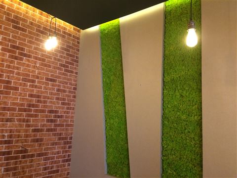 Perete de licheni stabilizați – GJC Sun Plaza, foto 13 din 19